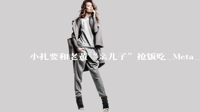 小扎要和老黄“亲儿子”抢饭吃_Meta_北美_服务